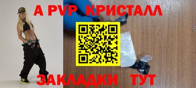 гашик Будённовск