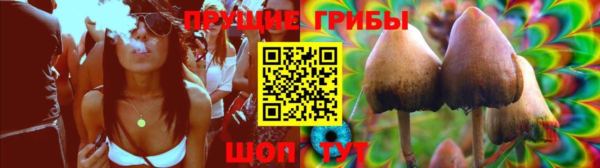 Псилоцибиновые грибы мухоморы Липецк